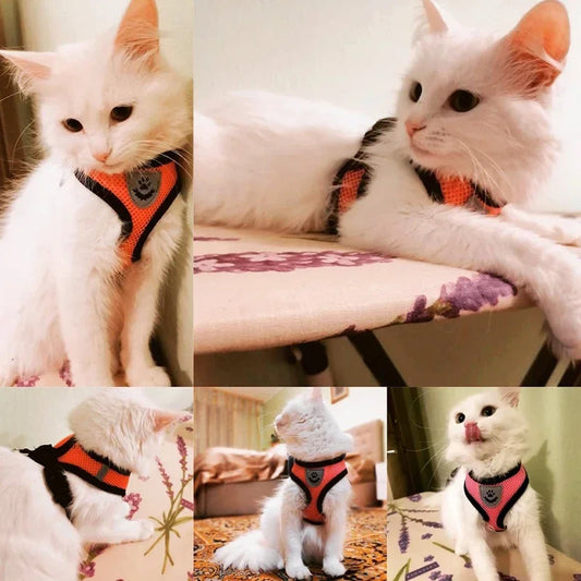 Adjustable Mesh Pet Harness Vest