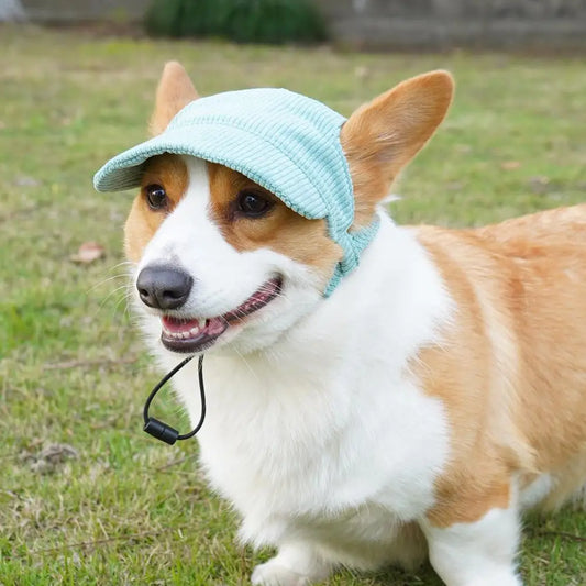 Dog Baseball Cap Pet Dog Hat Breathable For Small Medium Dogs Ear Holes Adjustable Dog Hat Pet Accessories