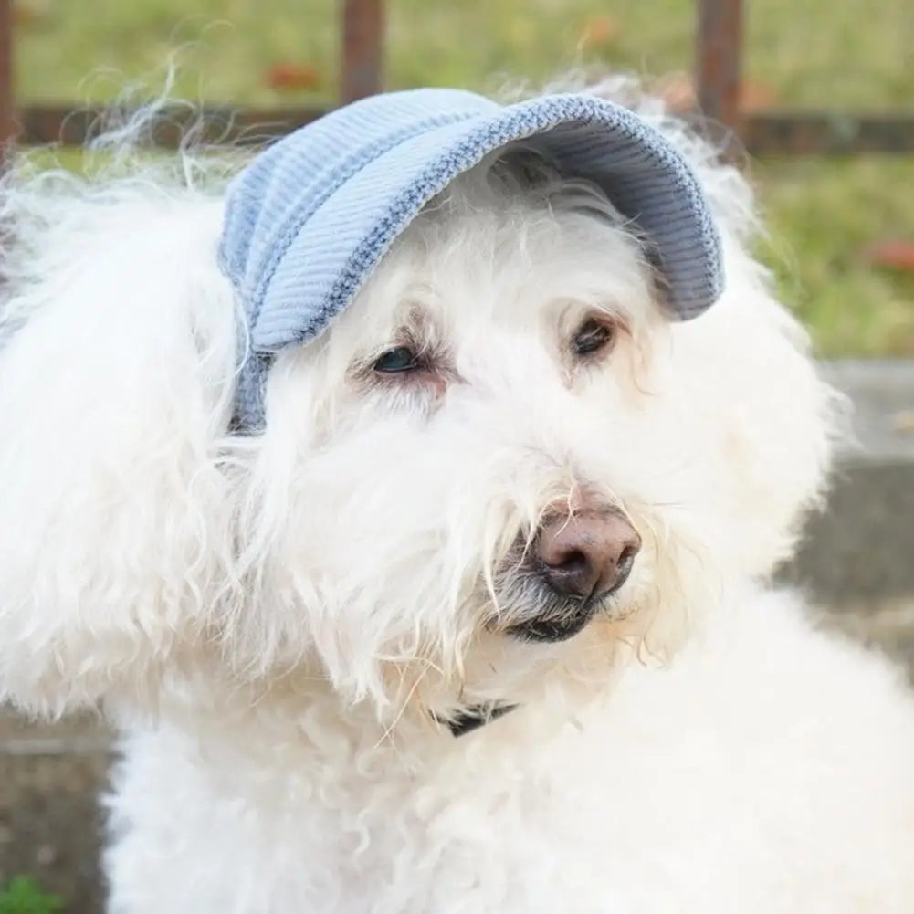 Dog Baseball Cap Pet Dog Hat Breathable For Small Medium Dogs Ear Holes Adjustable Dog Hat Pet Accessories