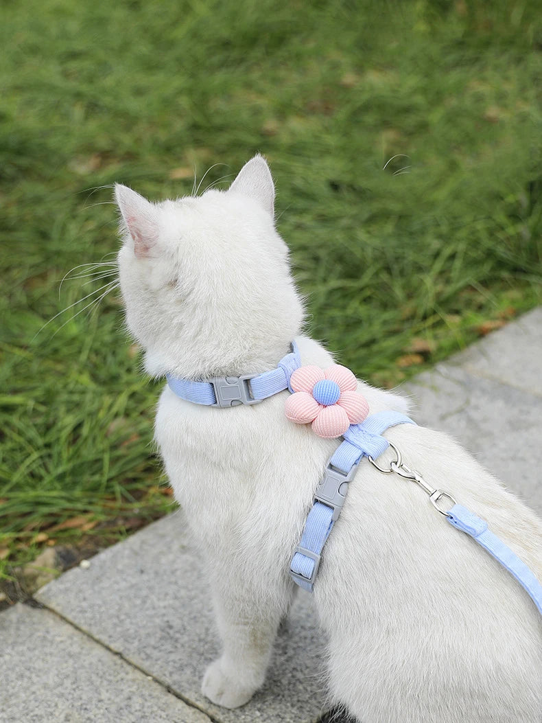 Cat Harness and Leash Sets Adjustable Dog Harness for Small Dog Leash Breashable Pet Harness Out Walking Dog Strap