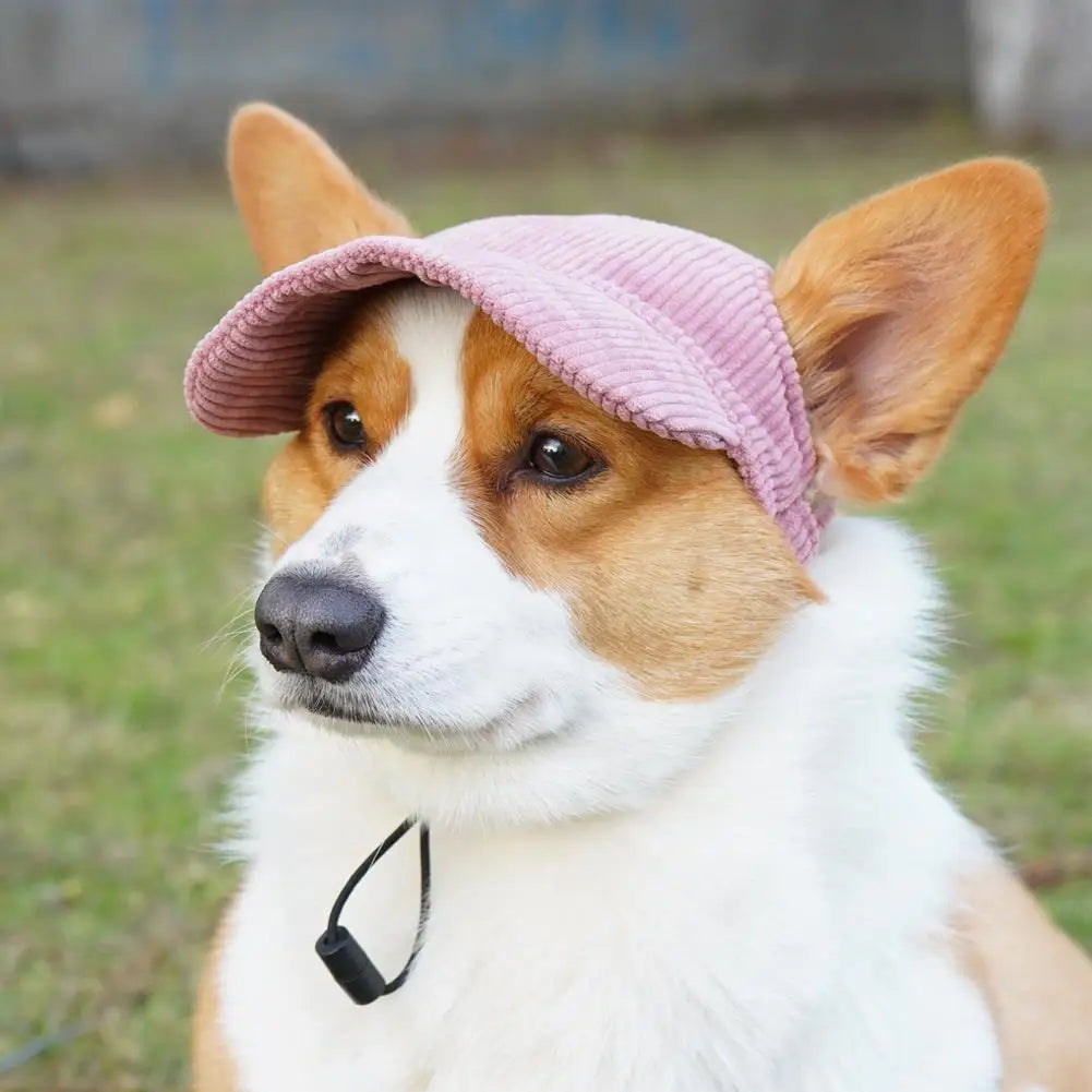 Dog Baseball Cap Pet Dog Hat Breathable For Small Medium Dogs Ear Holes Adjustable Dog Hat Pet Accessories